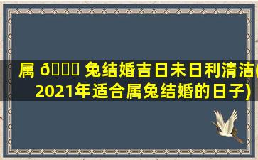 属 🐎 兔结婚吉日未日利清洁(2021年适合属兔结婚的日子)